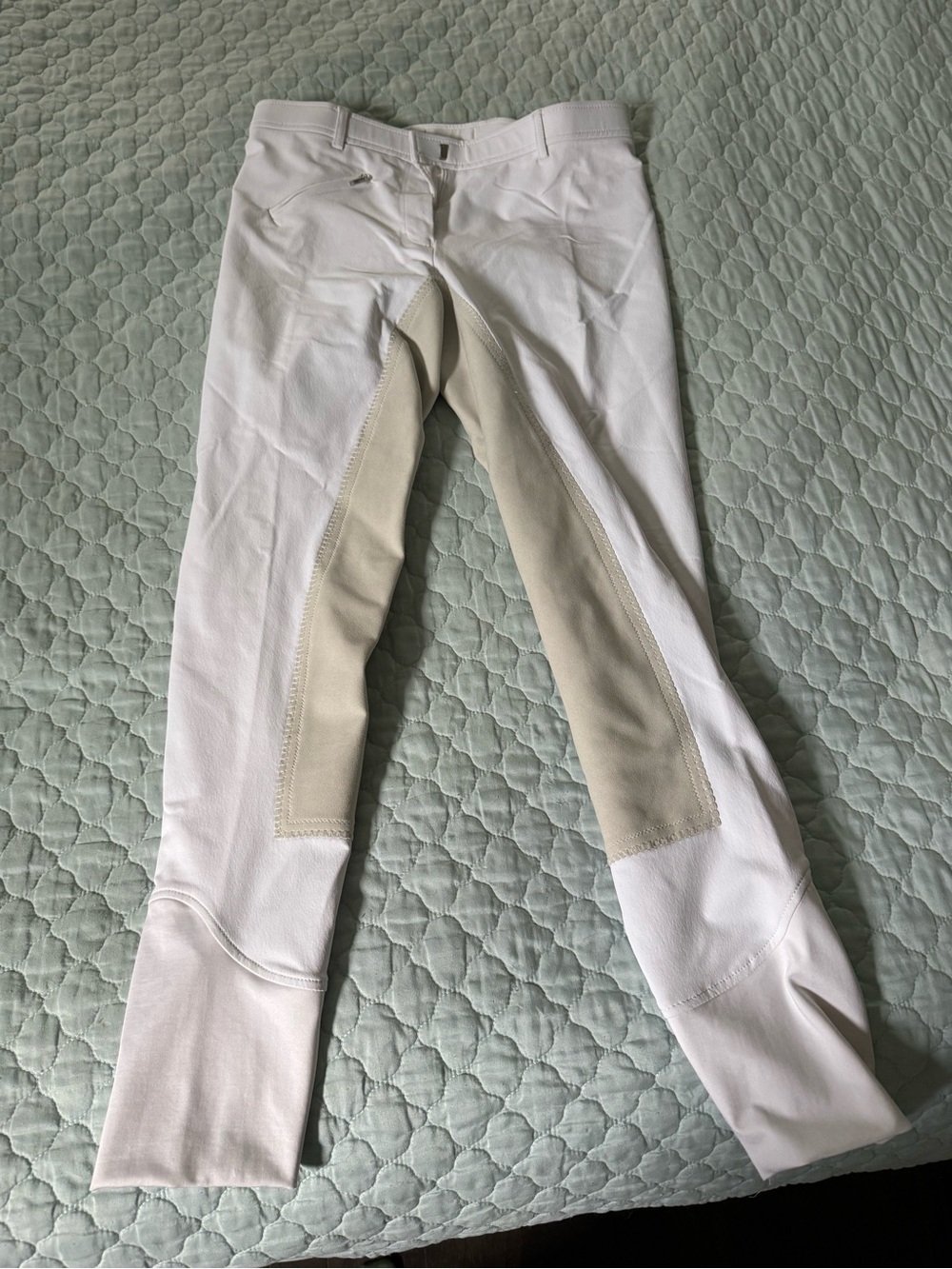 Cavallo Show Breeches